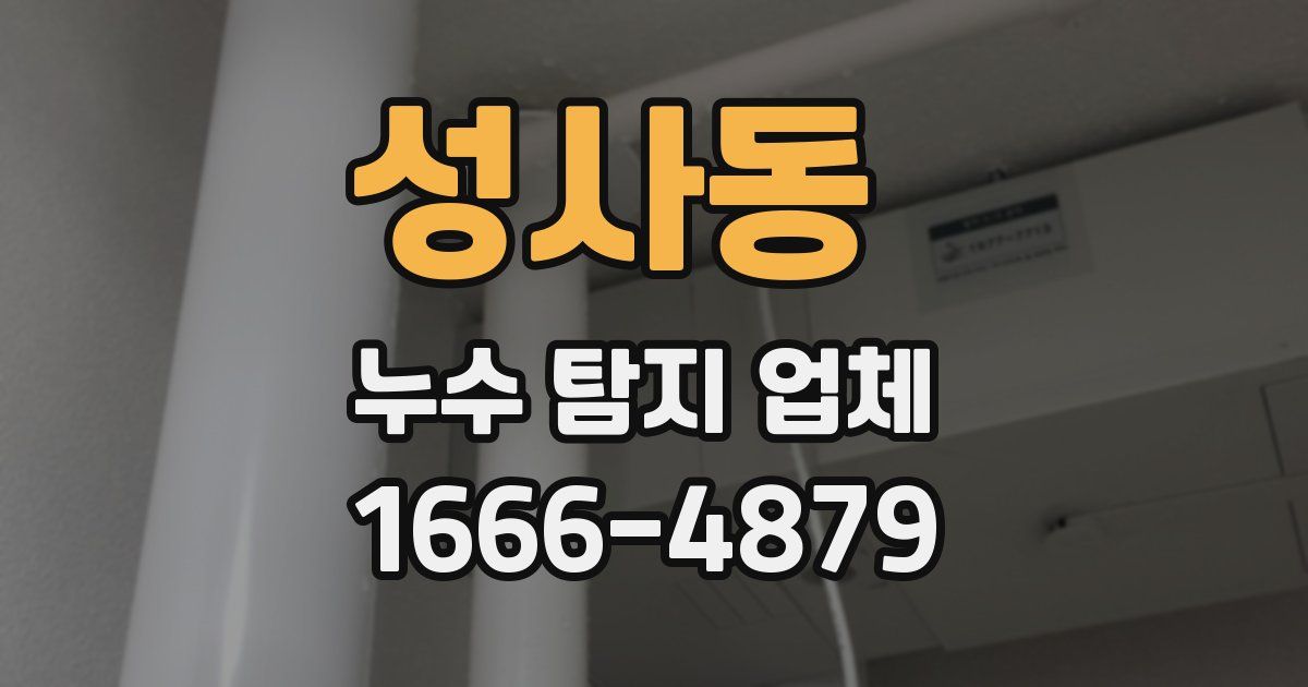 성사동 누수 탐지 업체