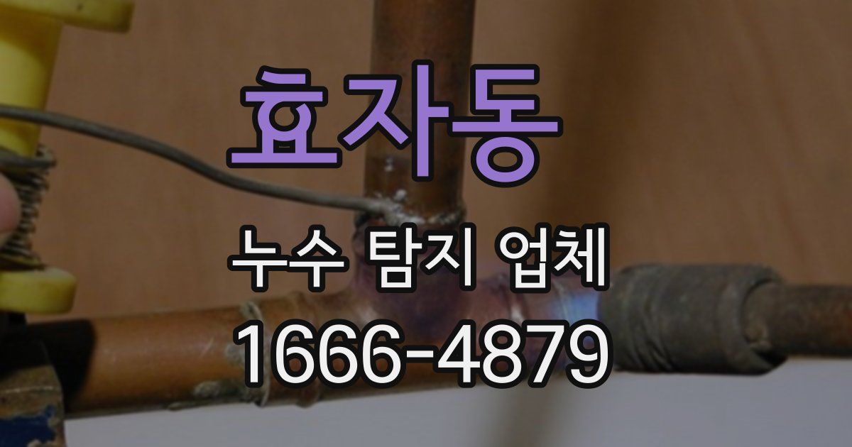 효자동 누수 탐지 업체
