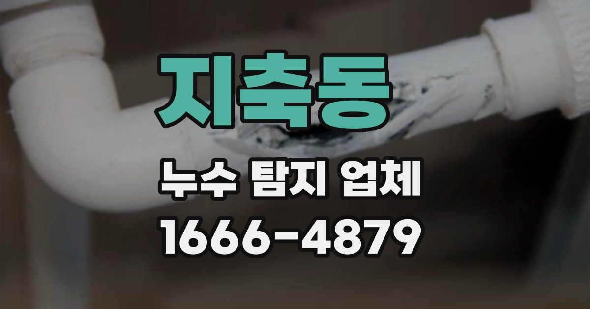 지축동 누수 탐지 업체