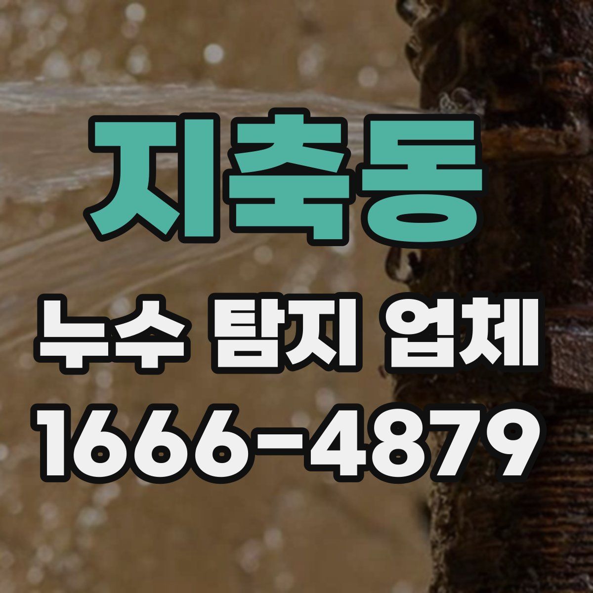 지축동 누수 탐지 업체