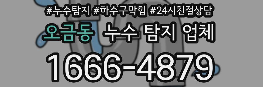 오금동 누수 탐지 업체