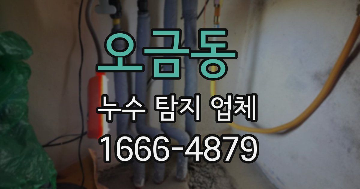 오금동 누수 탐지 업체