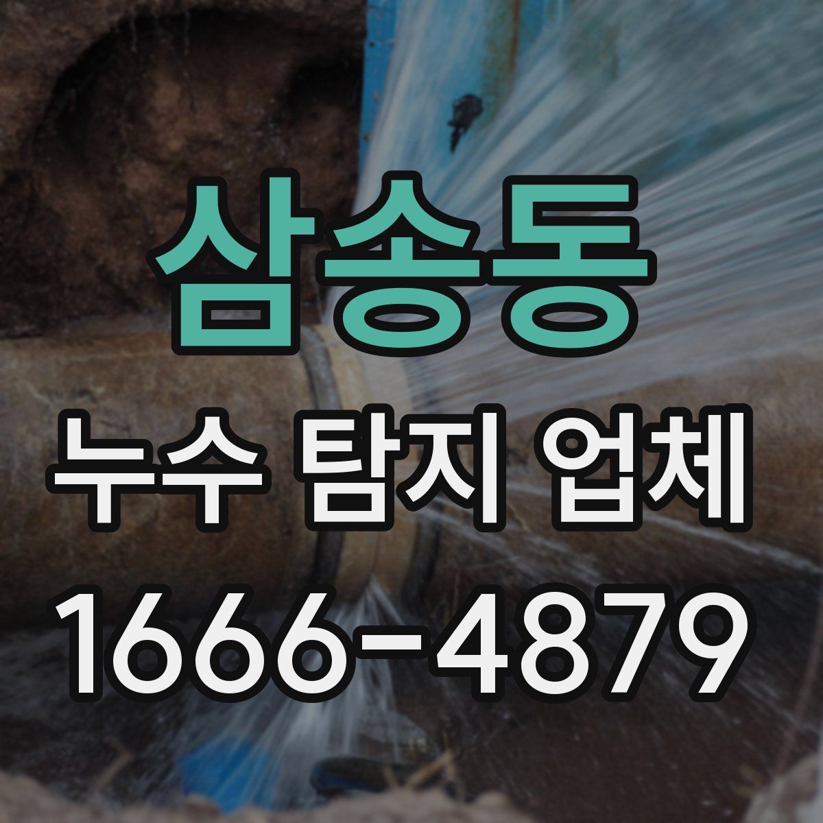 삼송동 누수 탐지 업체