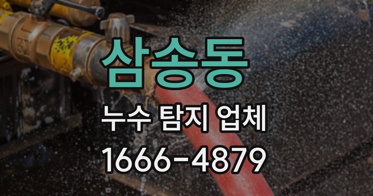삼송동 누수 탐지 업체