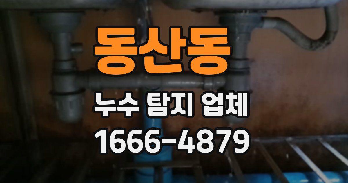 동산동 누수 탐지 업체