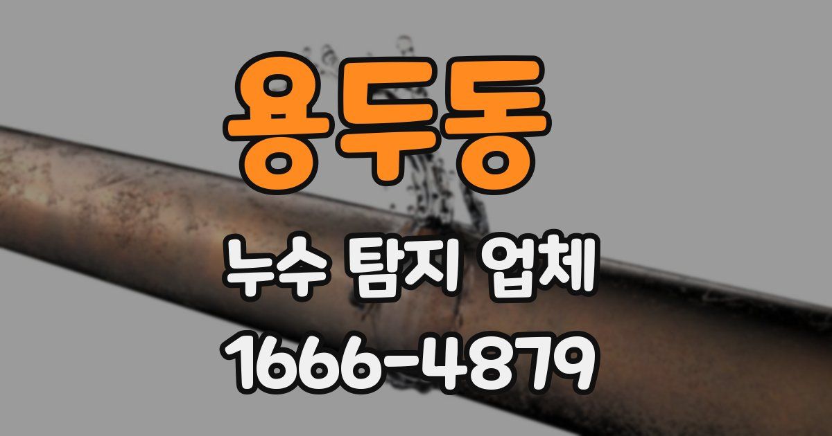 용두동 누수 탐지 업체