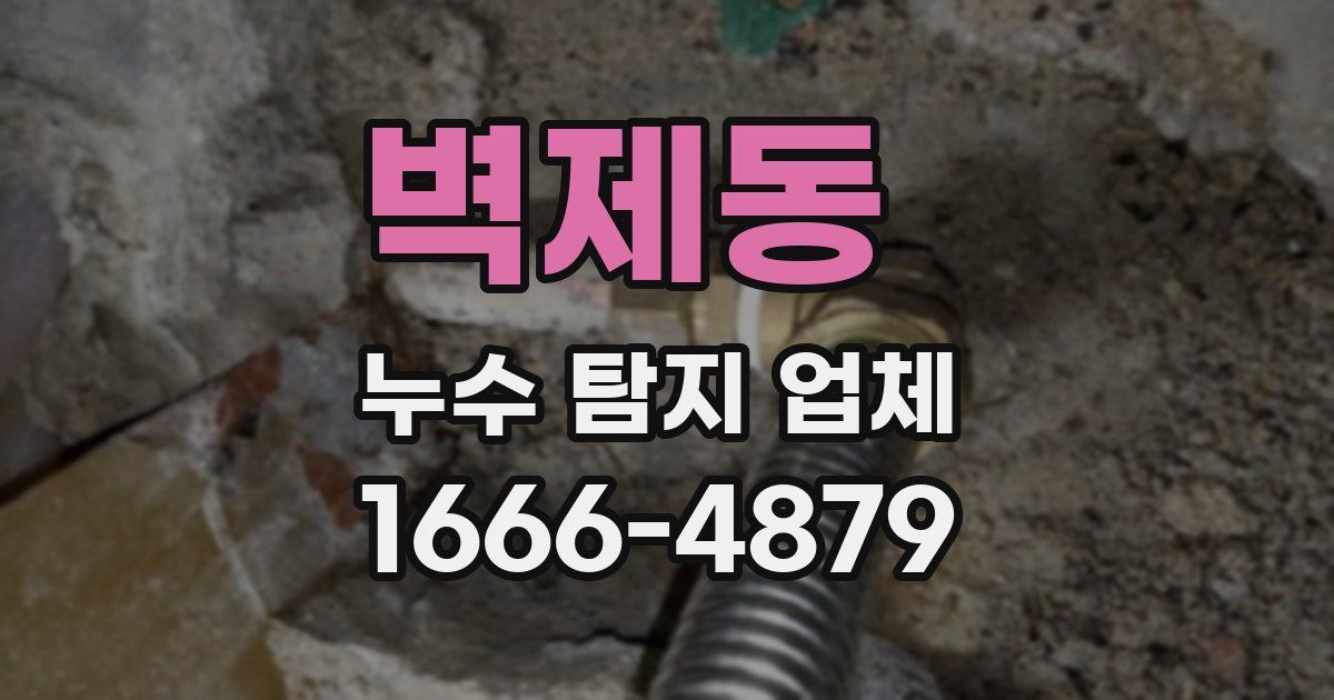 벽제동 누수 탐지 업체
