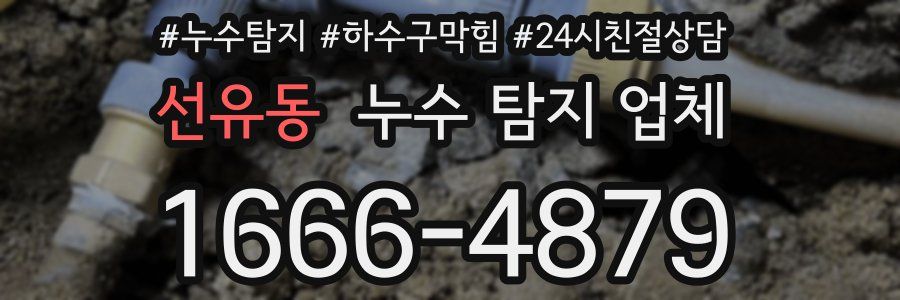 선유동 누수 탐지 업체