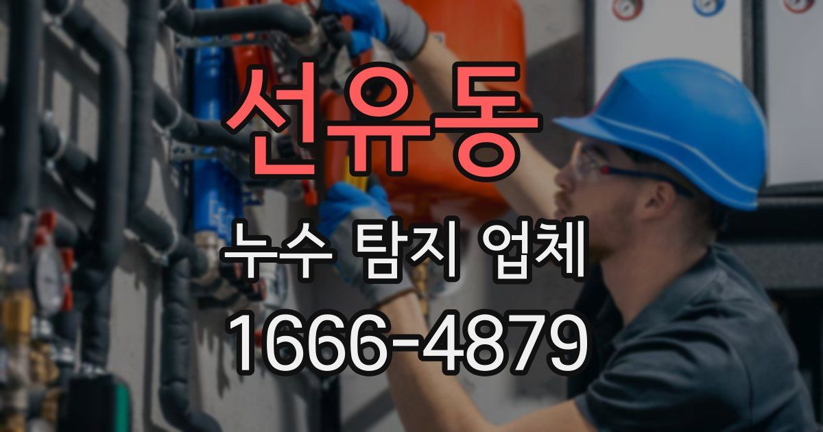 선유동 누수 탐지 업체