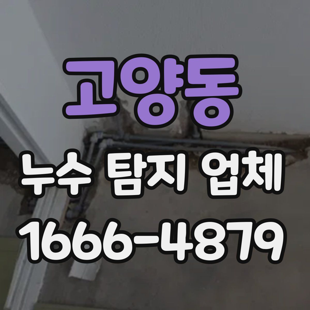 고양동 누수 탐지 업체