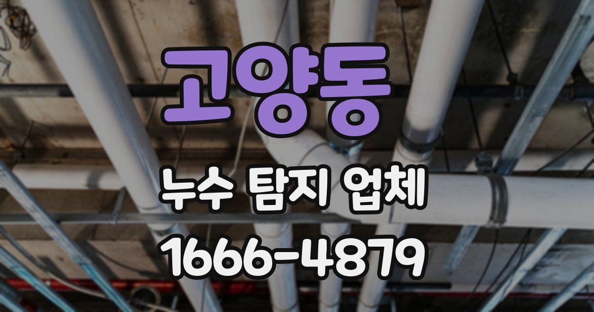 고양동 누수 탐지 업체