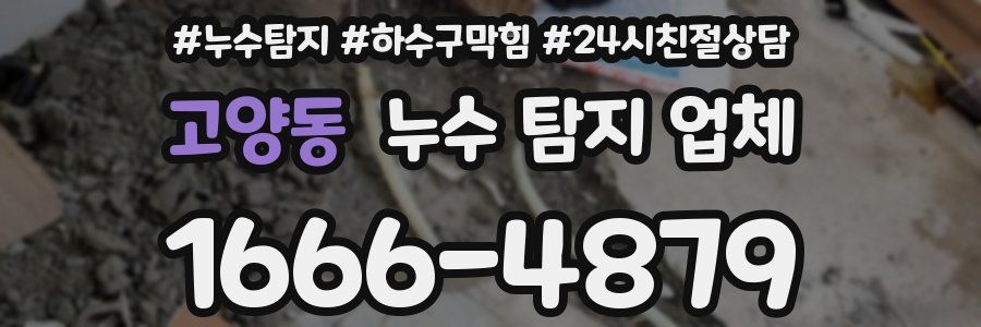 고양동 누수 탐지 업체