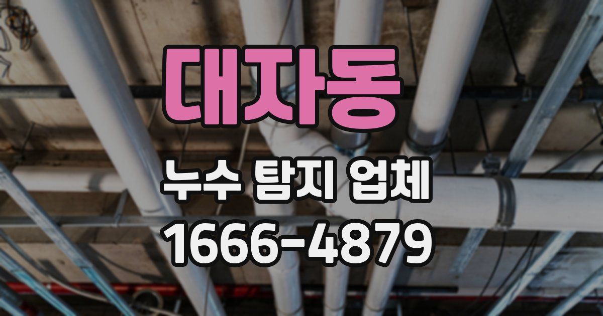 대자동 누수 탐지 업체