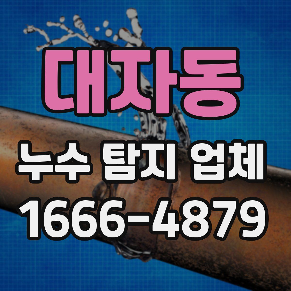 대자동 누수 탐지 업체