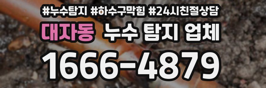 대자동 누수 탐지 업체