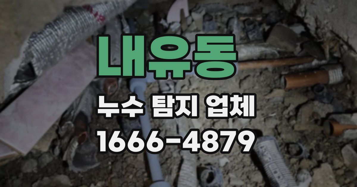 내유동 누수 탐지 업체
