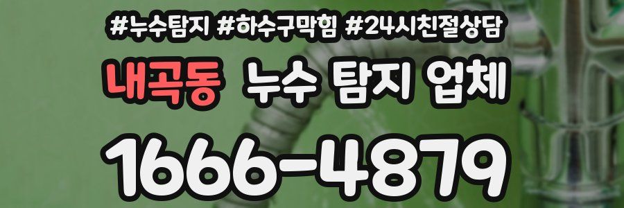 내곡동 누수 탐지 업체
