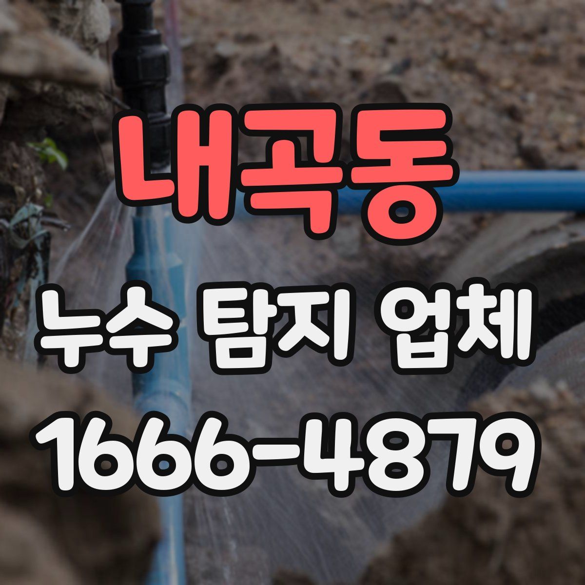 내곡동 누수 탐지 업체