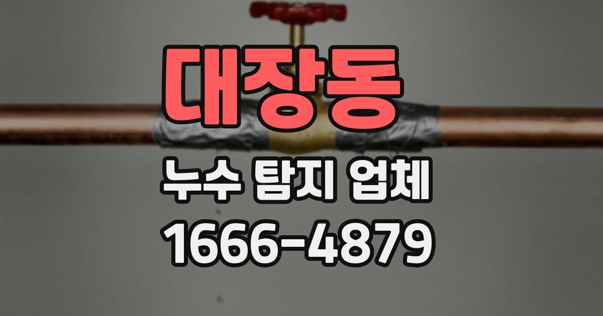 대장동 누수 탐지 업체