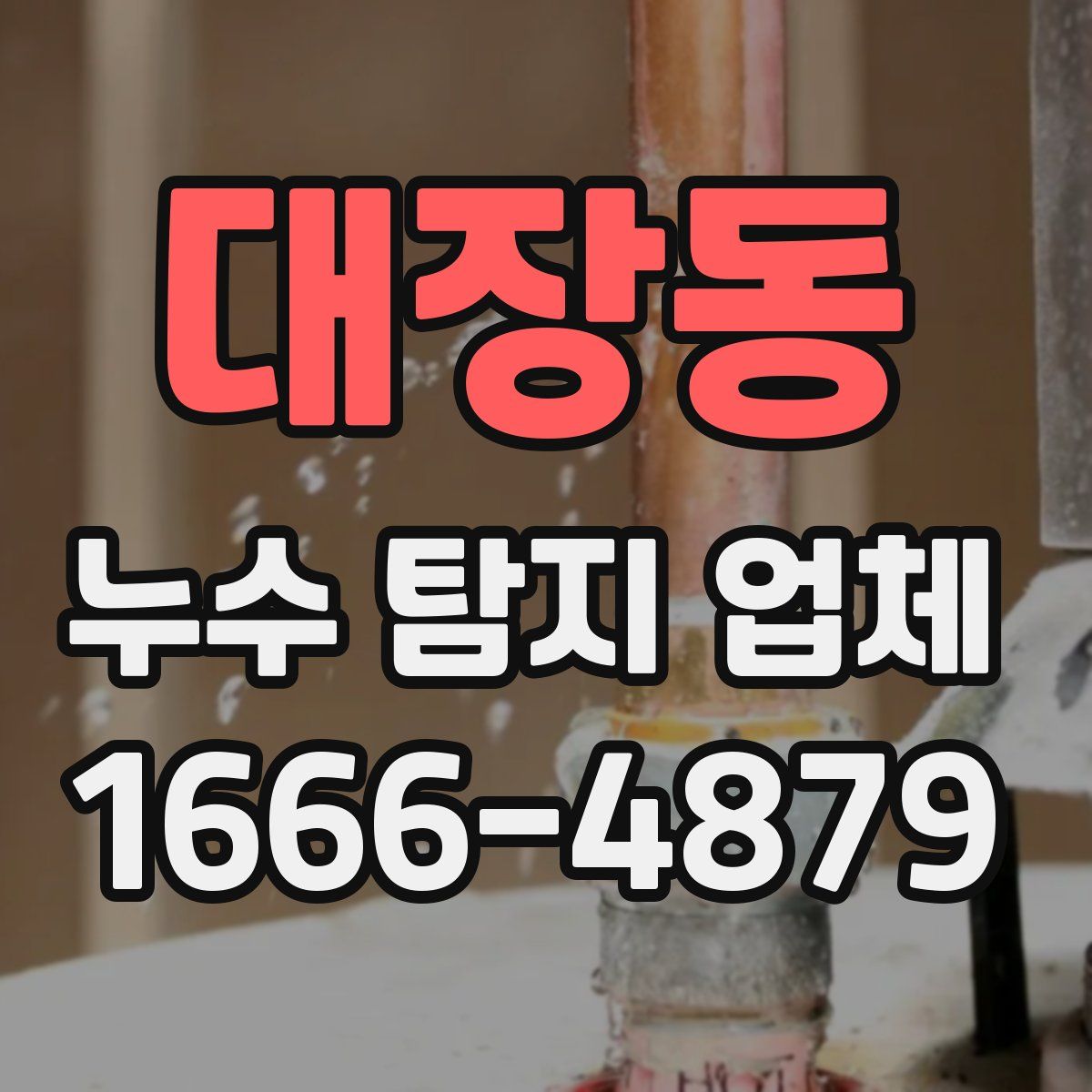 대장동 누수 탐지 업체