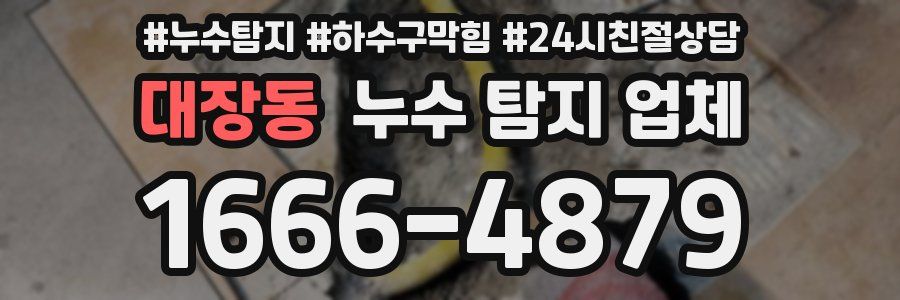 대장동 누수 탐지 업체