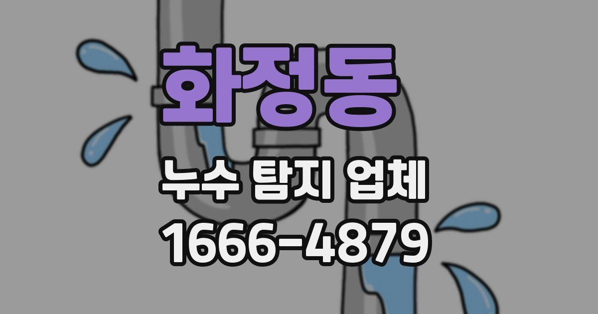 화정동 누수 탐지 업체