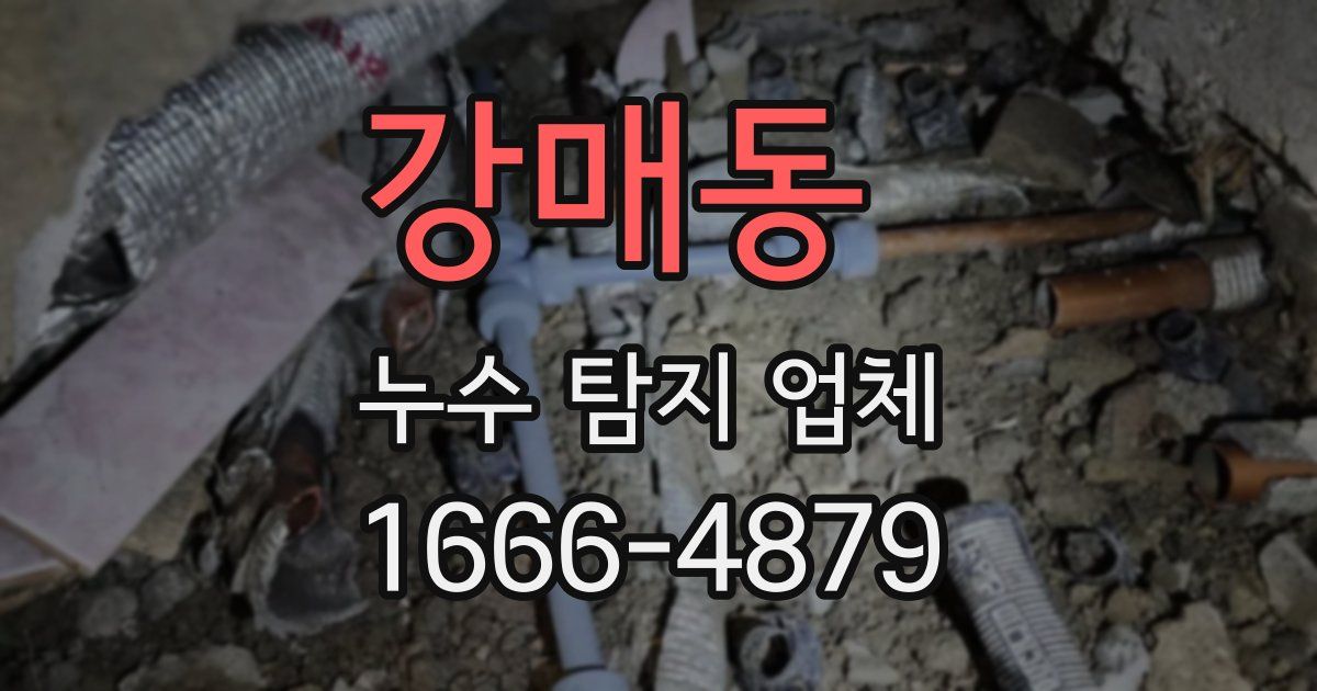 강매동 누수 탐지 업체