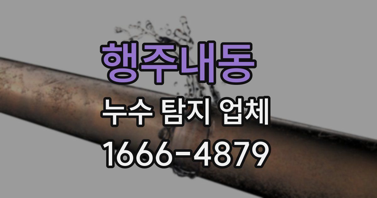 행주내동 누수 탐지 업체