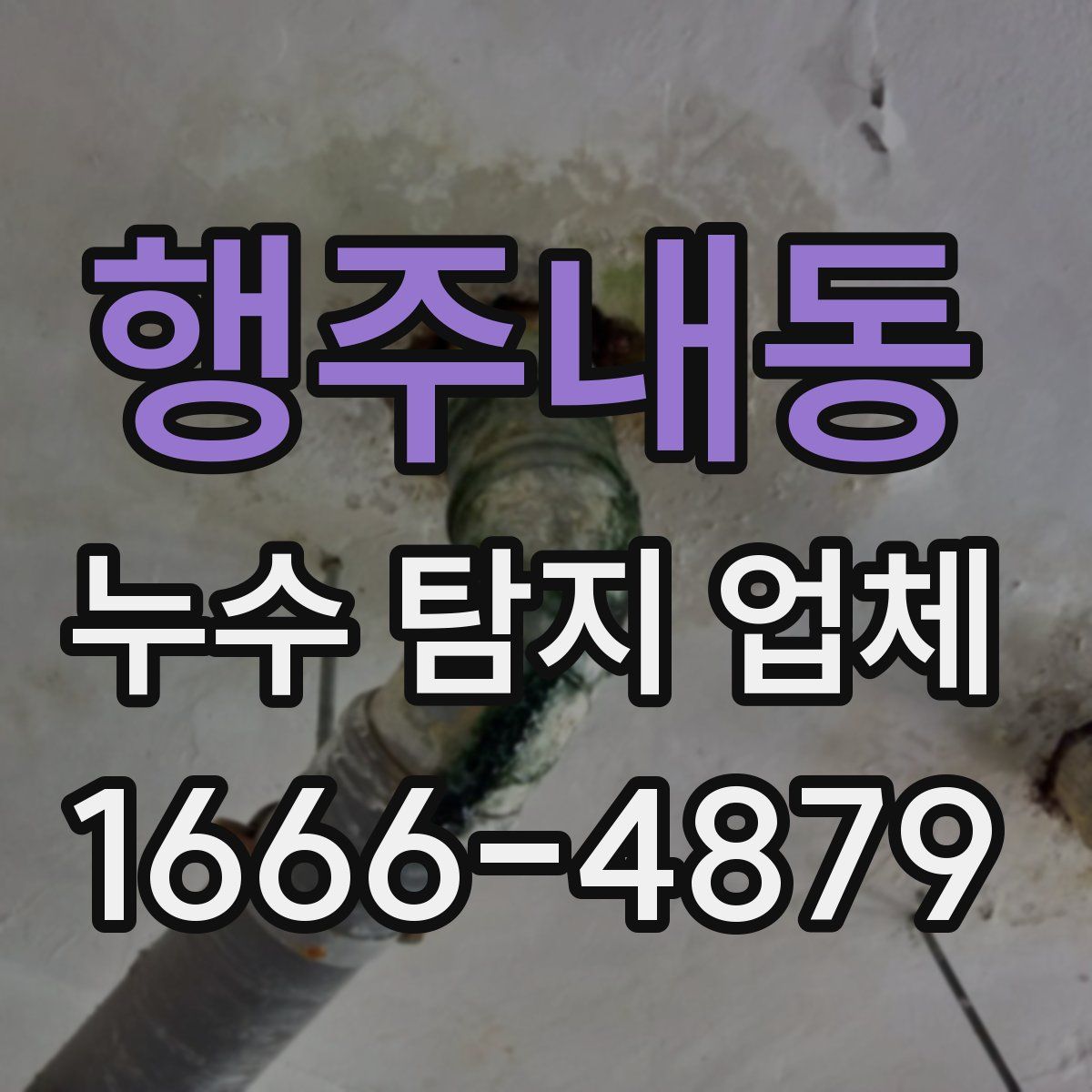 행주내동 누수 탐지 업체