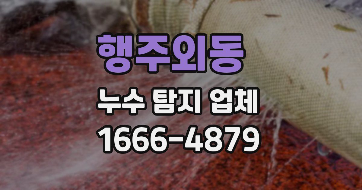 행주외동 누수 탐지 업체