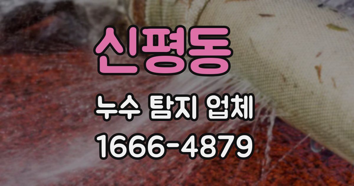 신평동 누수 탐지 업체