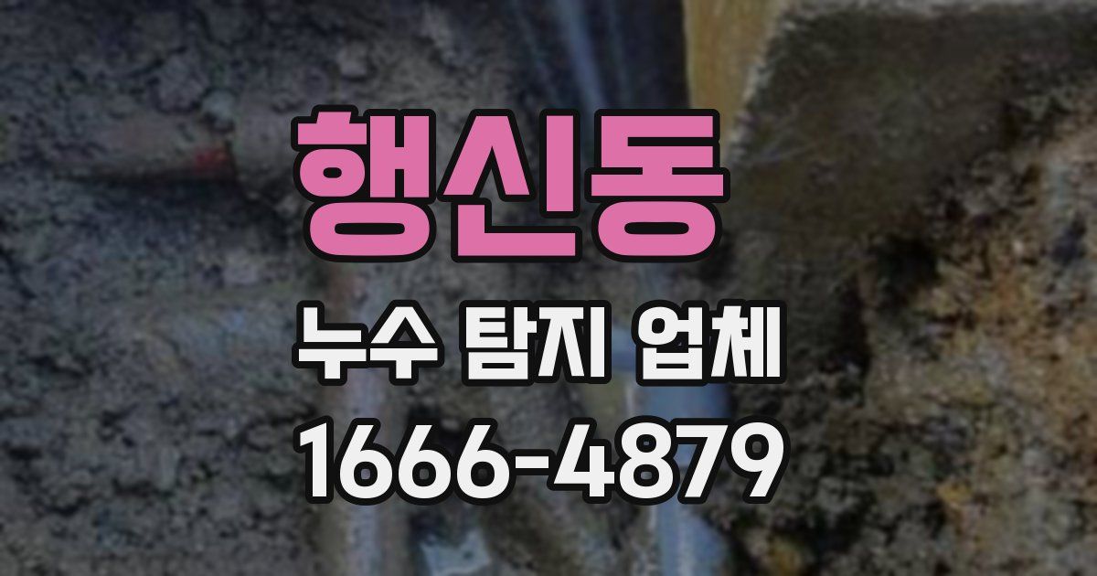 행신동 누수 탐지 업체