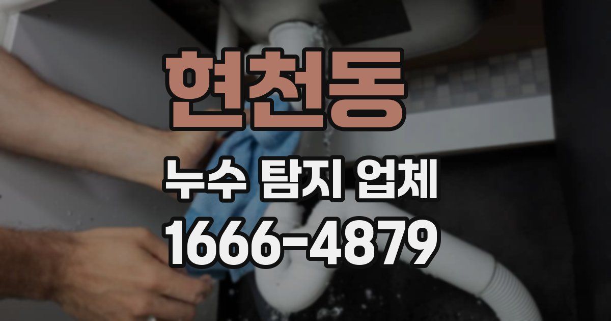 현천동 누수 탐지 업체