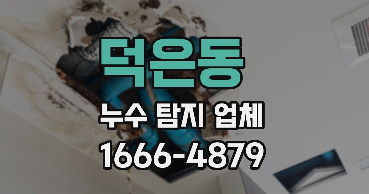 덕은동 누수 탐지 업체