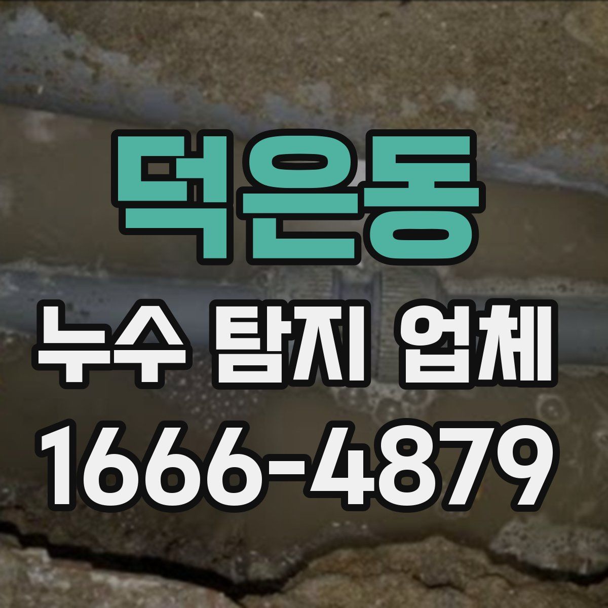 덕은동 누수 탐지 업체