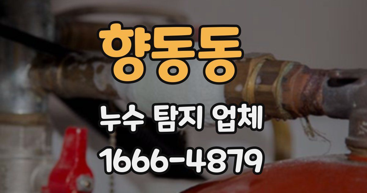 향동동 누수 탐지 업체