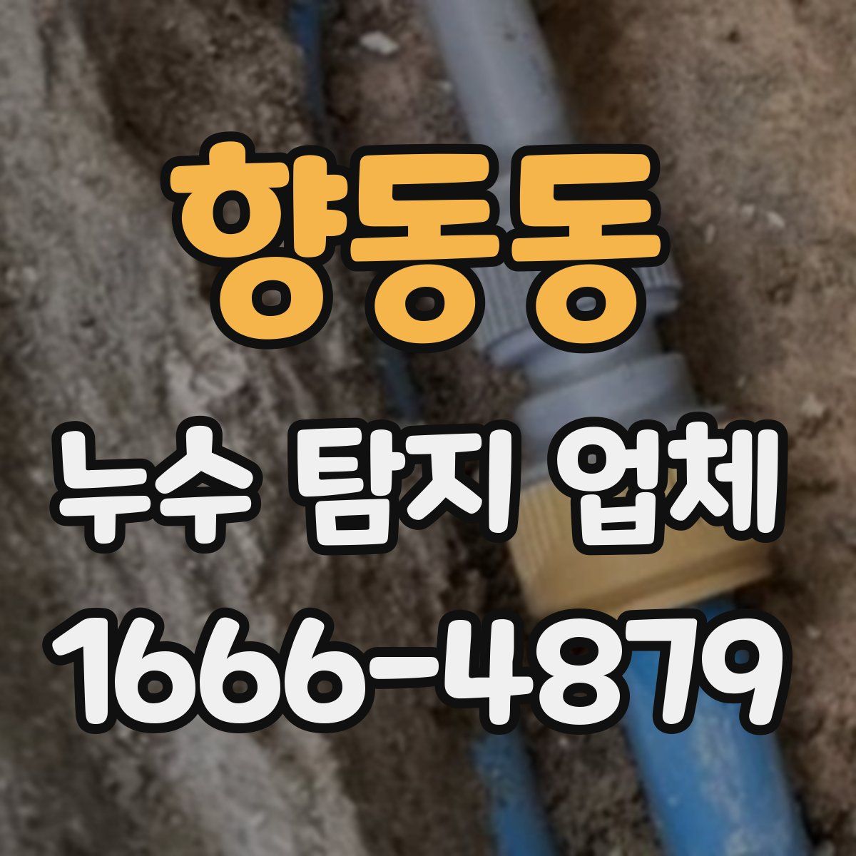 향동동 누수 탐지 업체