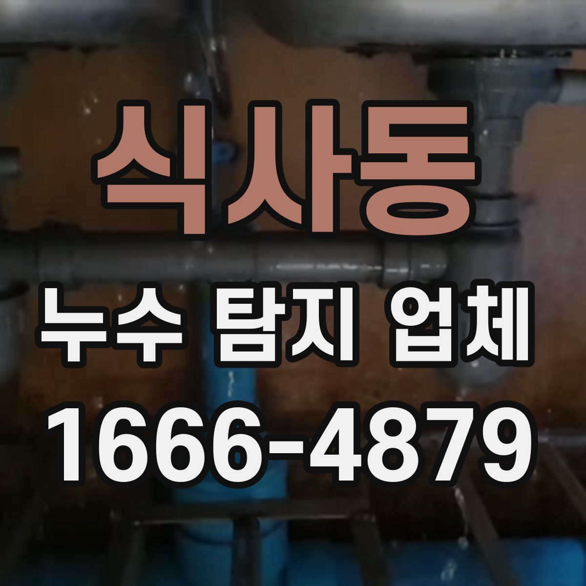 식사동 누수 탐지 업체