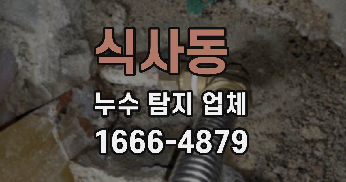식사동 누수 탐지 업체