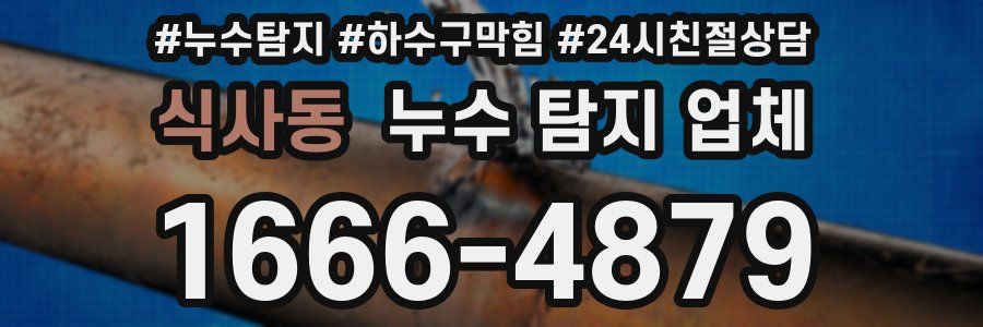 식사동 누수 탐지 업체
