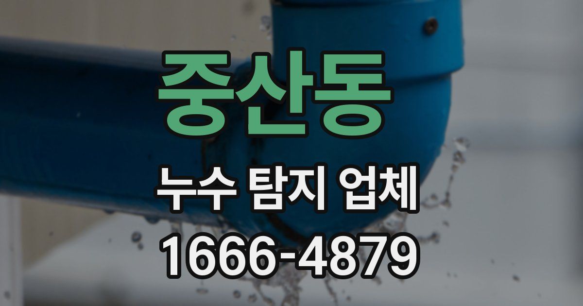 중산동 누수 탐지 업체