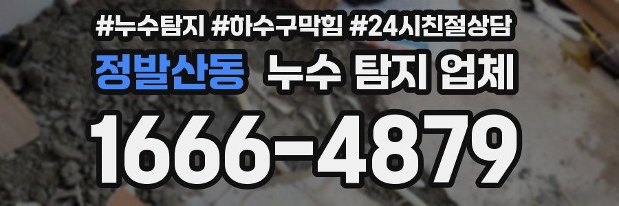 정발산동 누수 탐지 업체