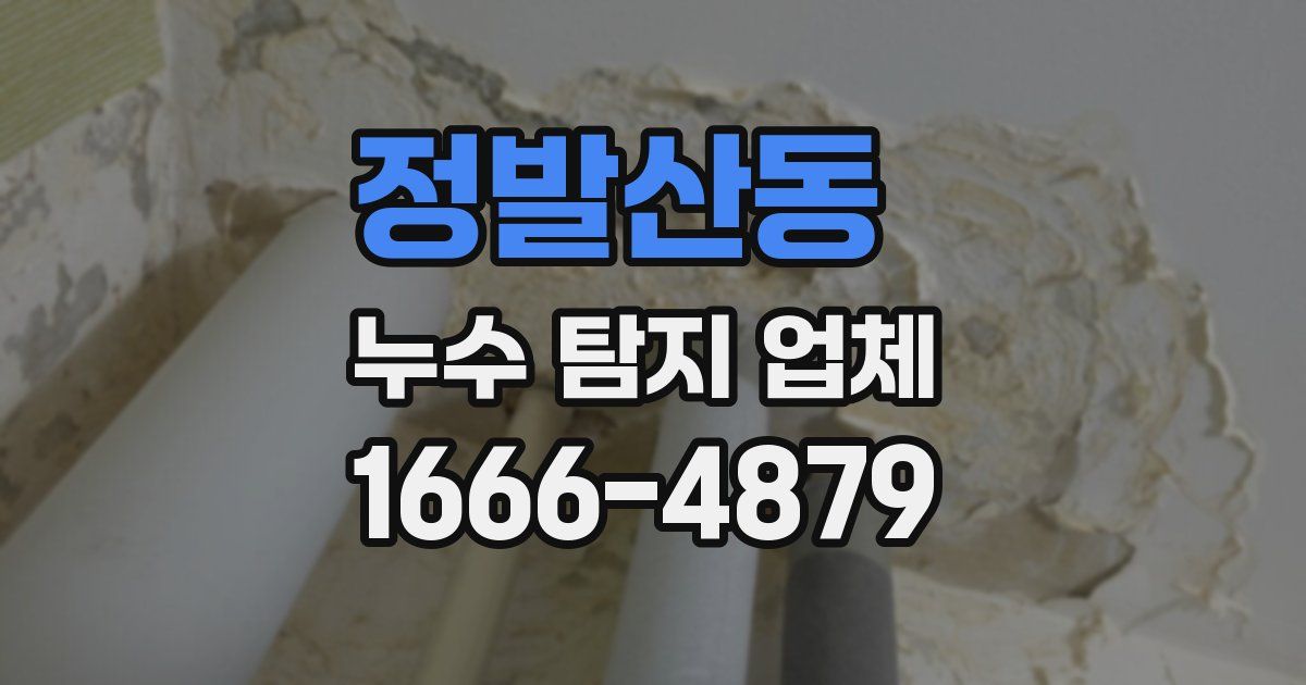 정발산동 누수 탐지 업체