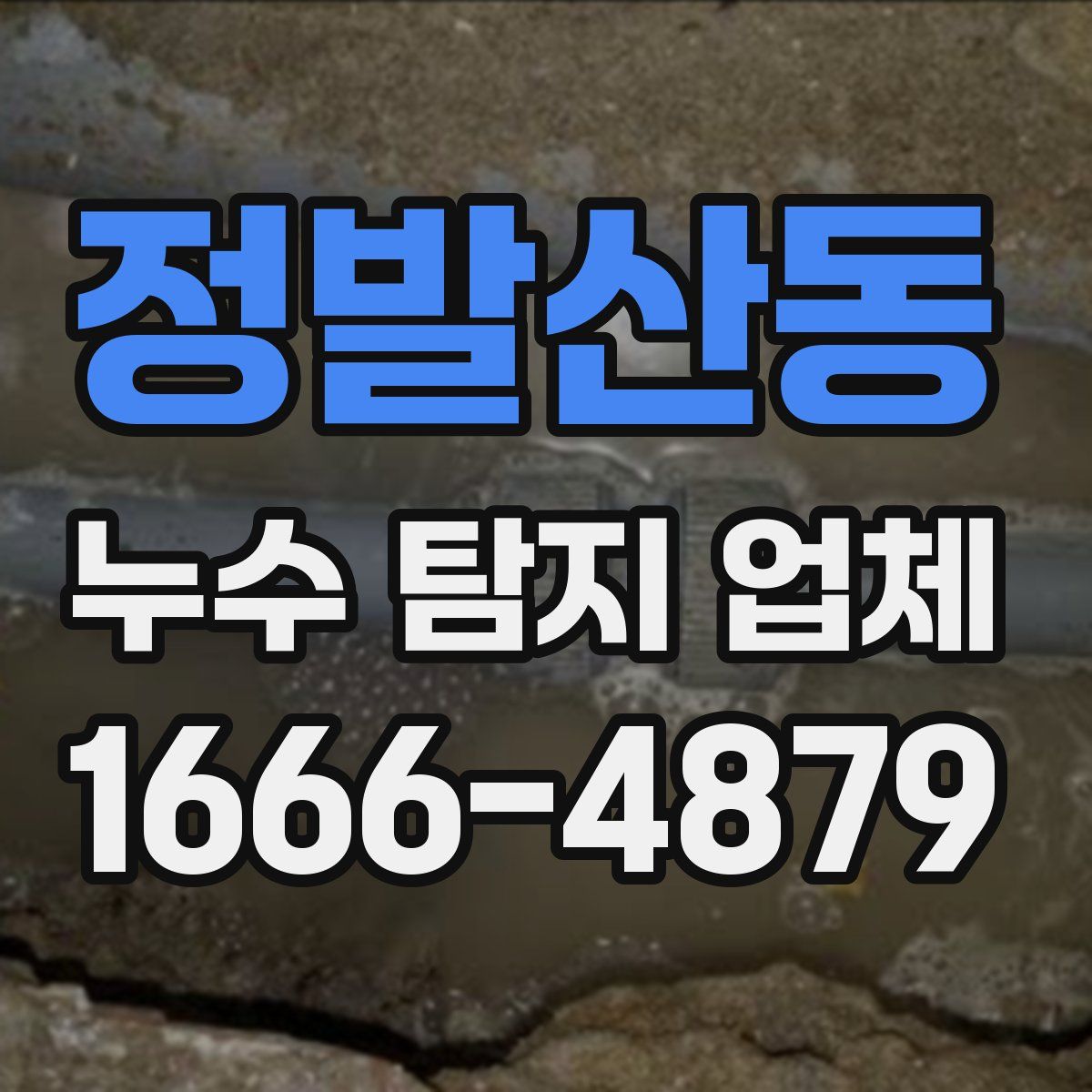 정발산동 누수 탐지 업체