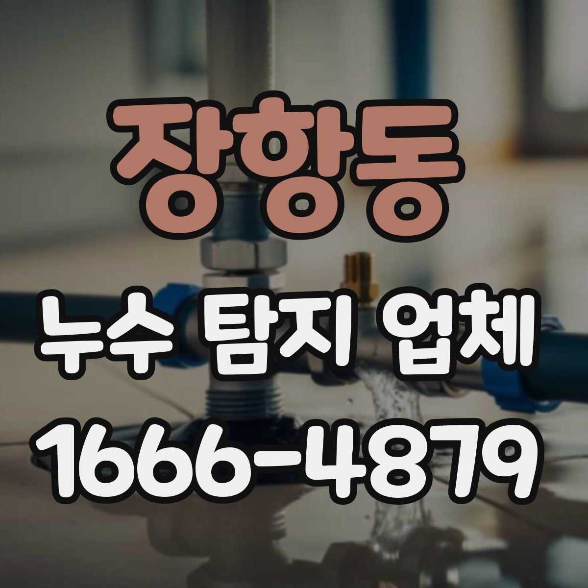 장항동 누수 탐지 업체