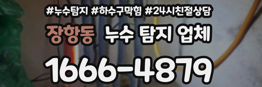 장항동 누수 탐지 업체