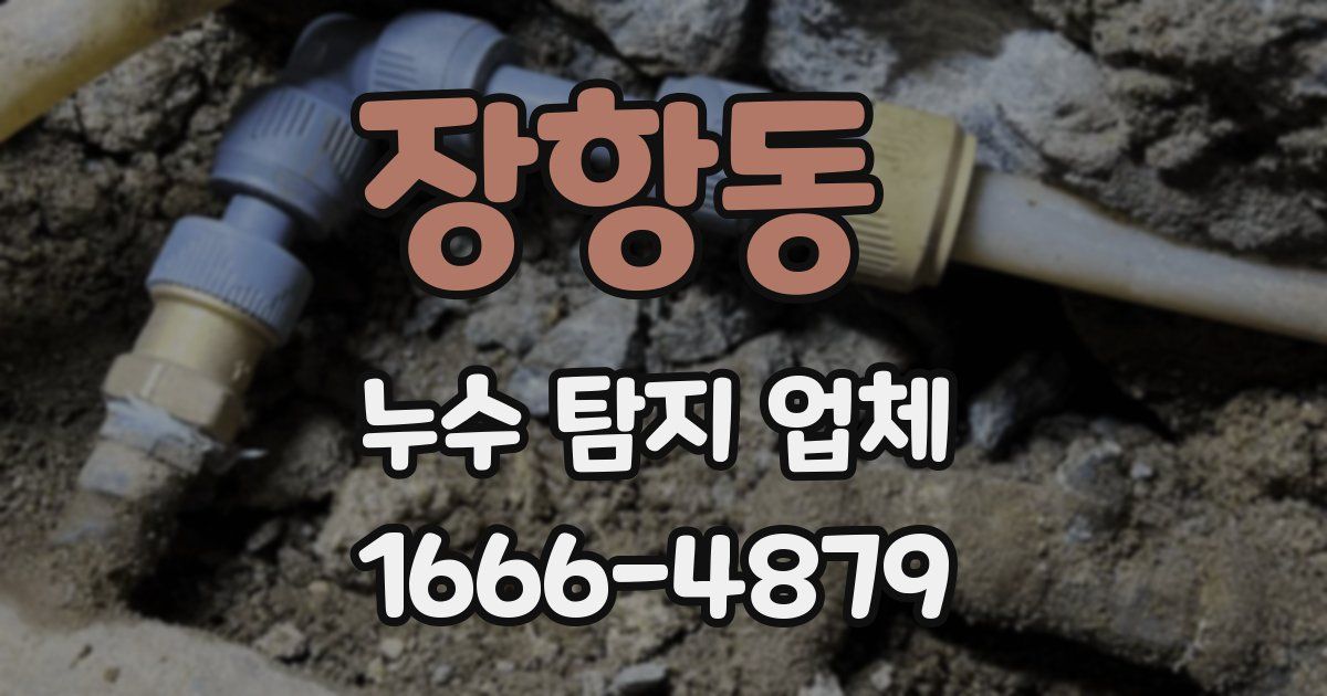 장항동 누수 탐지 업체