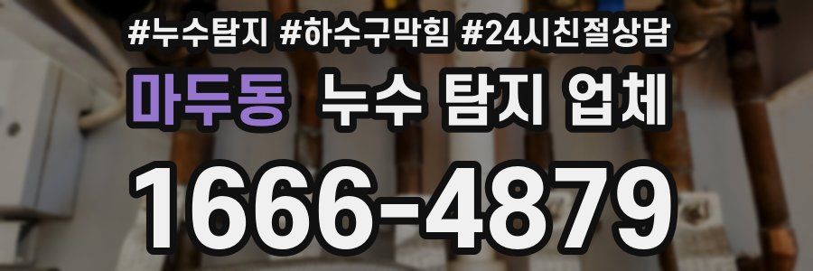 마두동 누수 탐지 업체