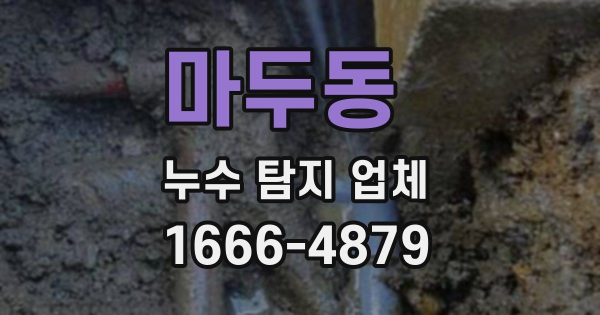 마두동 누수 탐지 업체