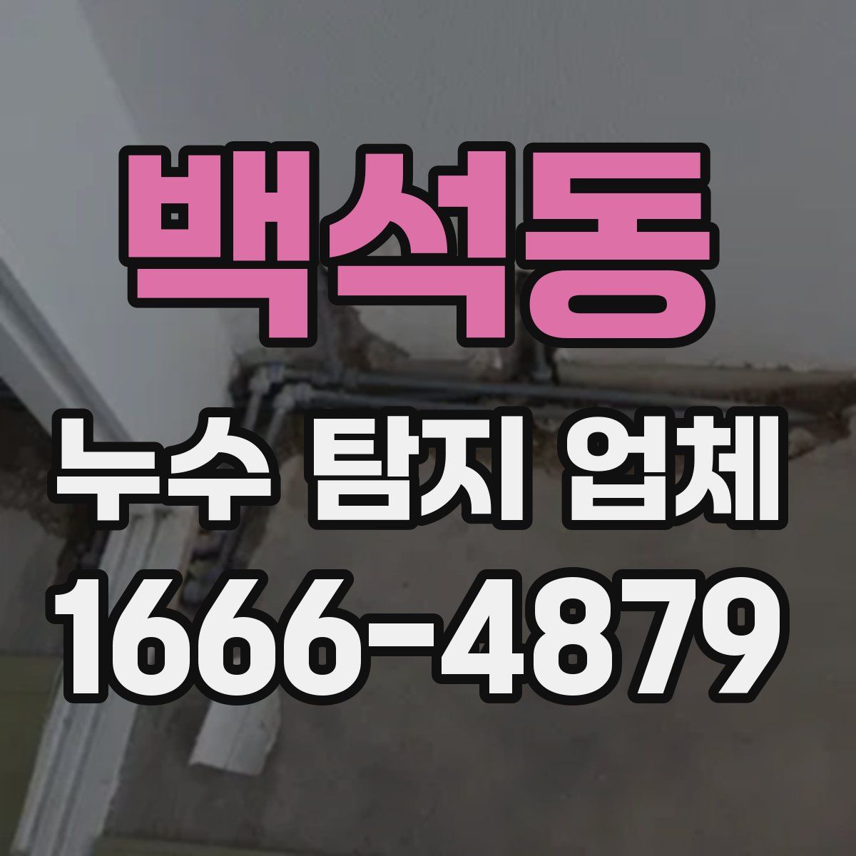 백석동 누수 탐지 업체